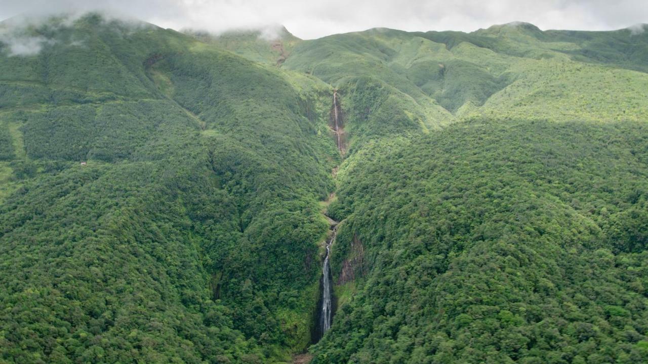 Le "Bwa ' Kao" Villa Capesterre Belle Eau Bagian luar foto